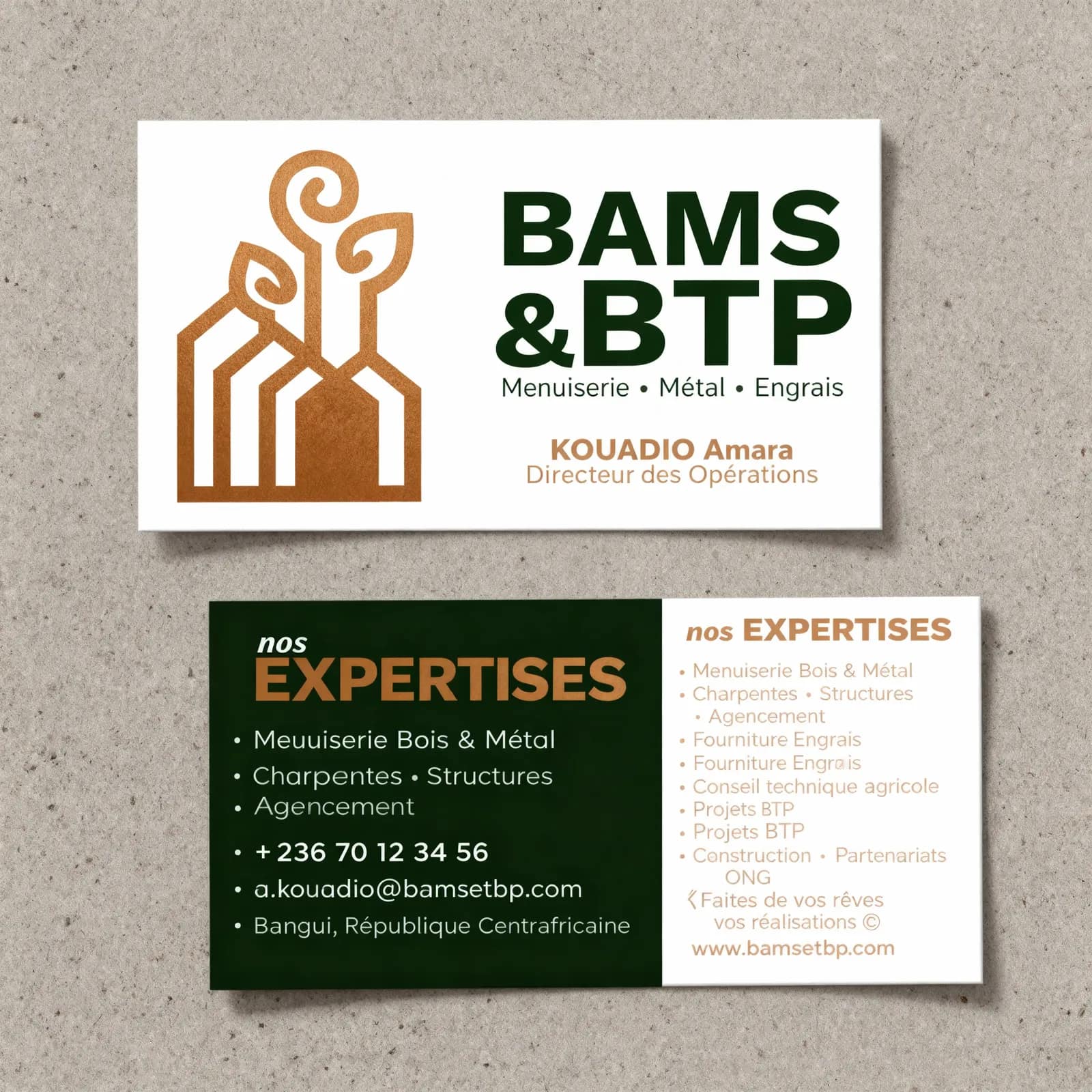 BAMS & BTP — Identité corporate — 4