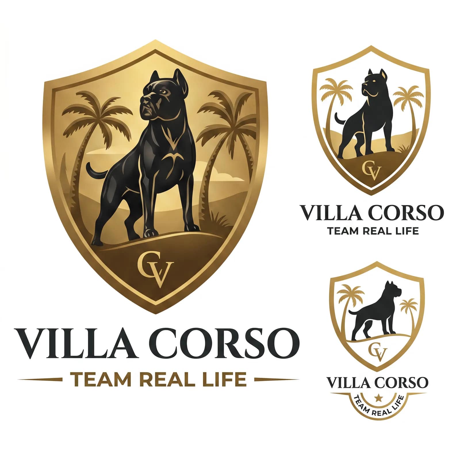 Villa Corso — Élevage Cane Corso — 4